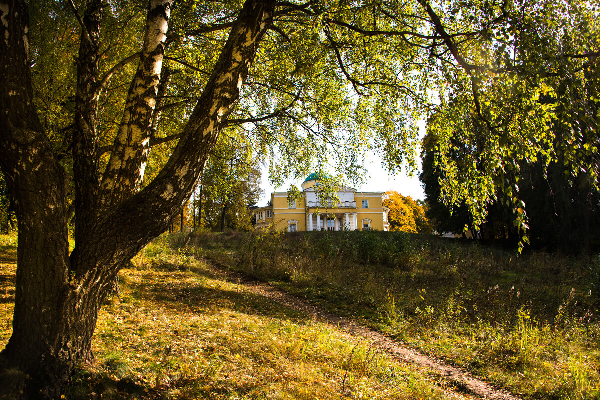 Усадьба Братцево. - Владимир Безбородов Усадьба Братцево. - Владимир Безбородов
