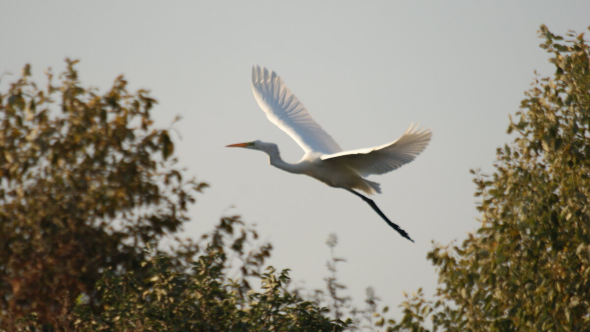 я лечу.. - Михаил Жуковский я лечу.. - Михаил Жуковский