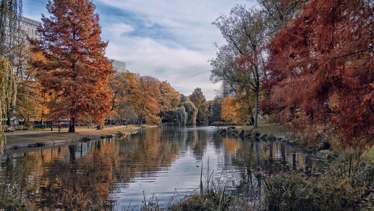 Осенние сюжеты... - Elena Ророva