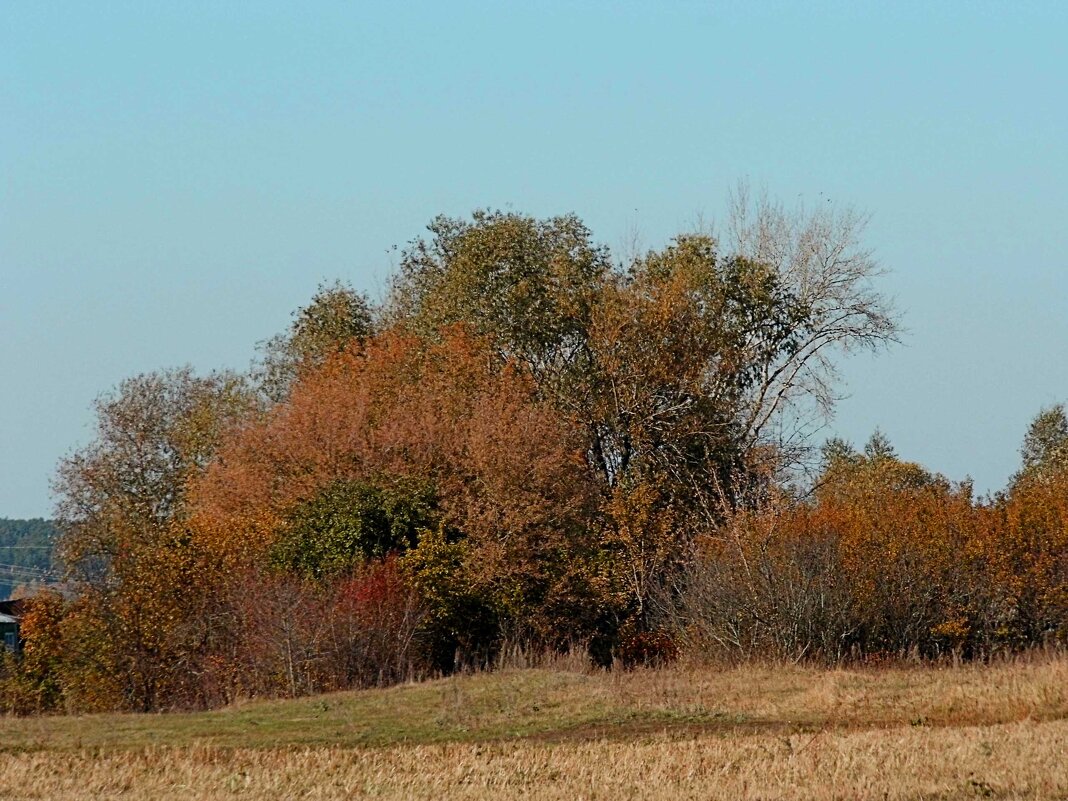 Осень пришла - Юлия Денискина