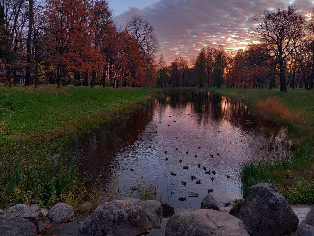 Рассвет - Сапсан 