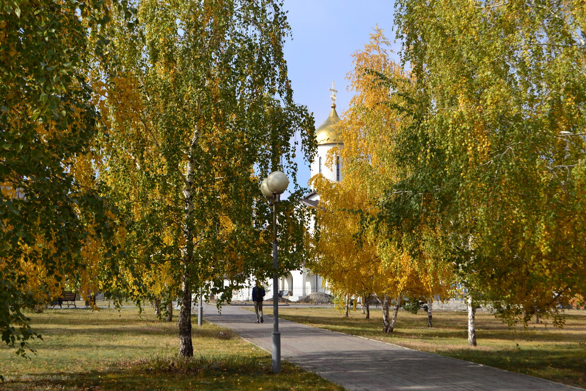 В новом парке - Владимир Рыбак