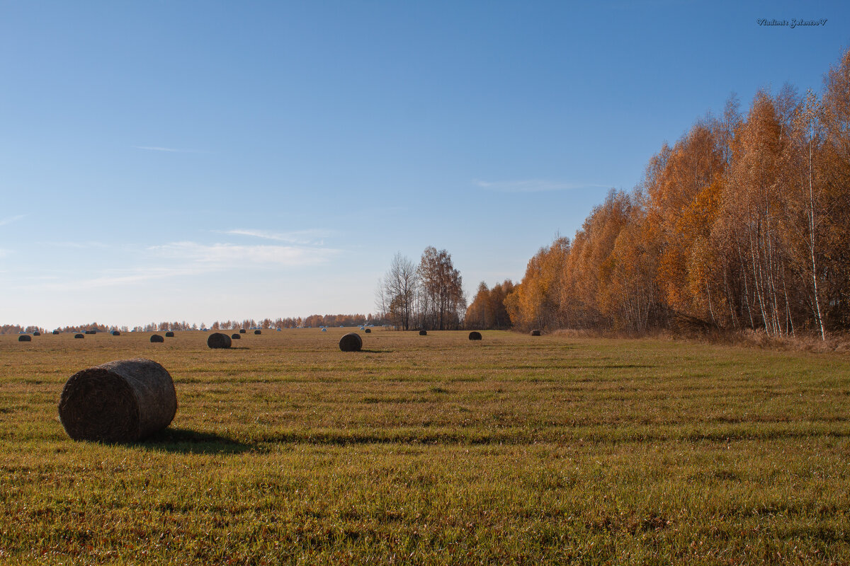 скошенное поле - Владимир Зеленцов