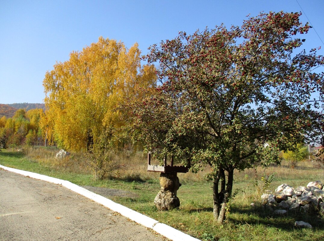 Осень. - Татьяна Иваненкова