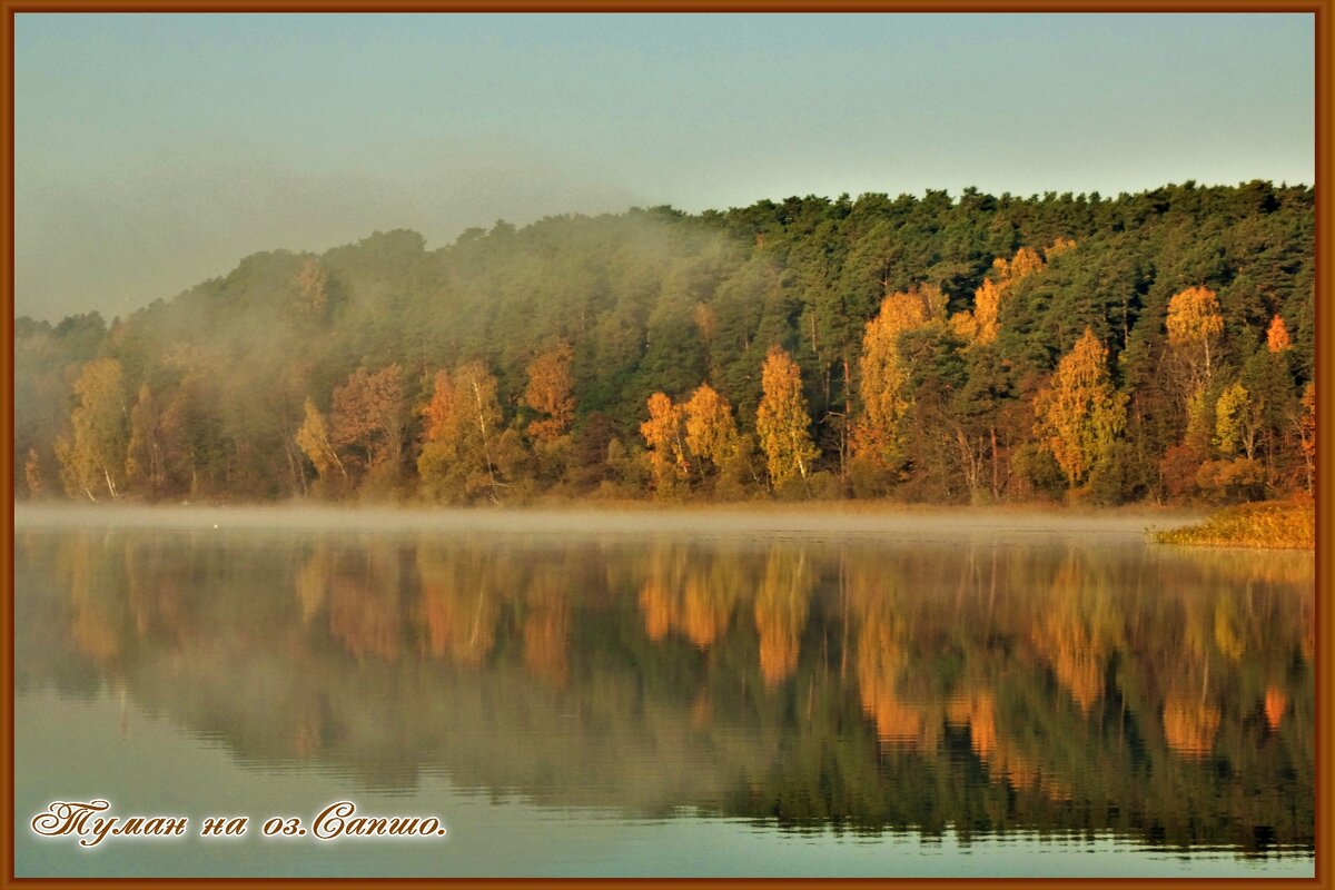 Красота - Ольга Митрофанова Красота - Ольга Митрофанова