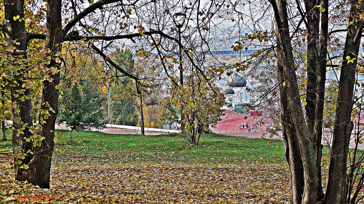 Осень в городе - Лариса 