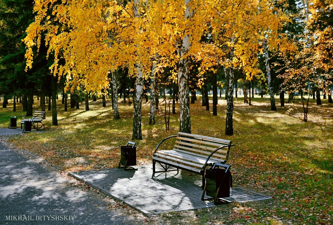 В осеннем парке - Mikhail Irtyshskiy