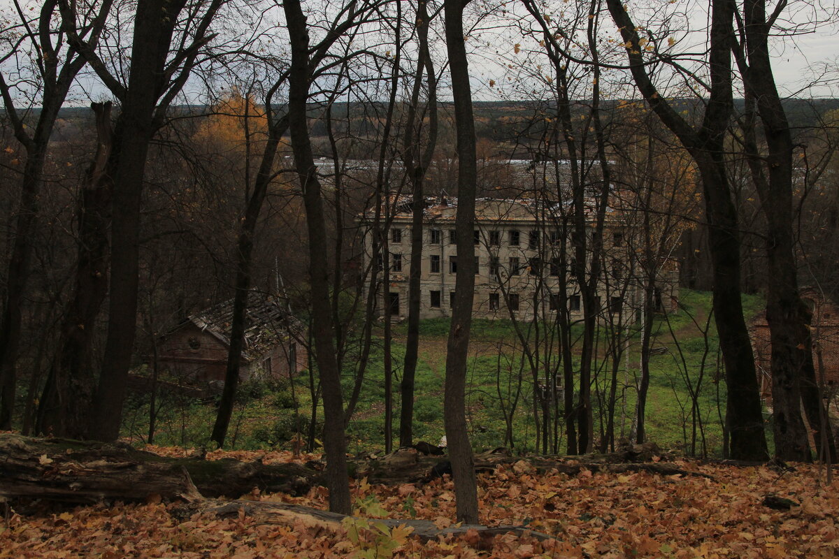 усадьба Пущино - Илья усадьба Пущино - Илья