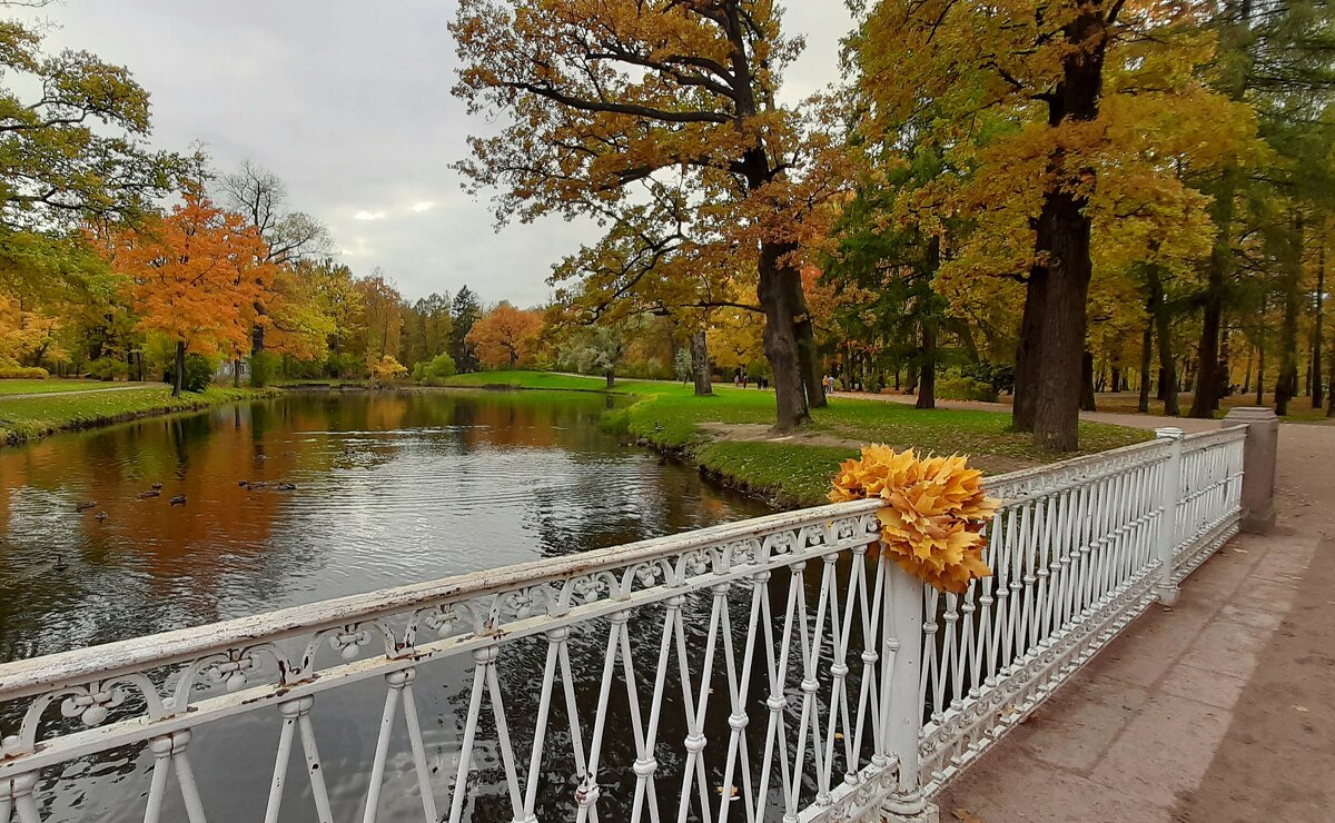 Царское Село. Александровский парк - Наталья Герасимова