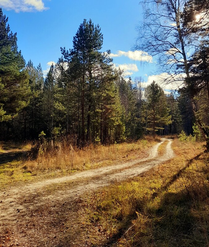Конец октября .27 10 2021. - Мила Бовкун Конец октября .27 10 2021. - Мила Бовкун