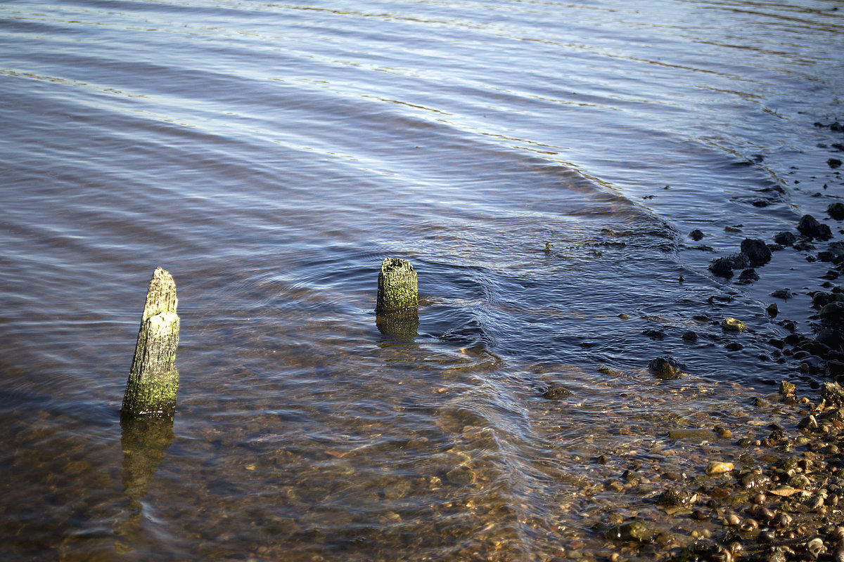 *** - Елена Панькина