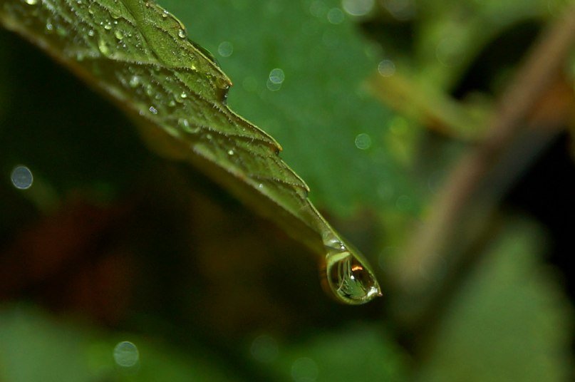 Капля ночи - Оксана #