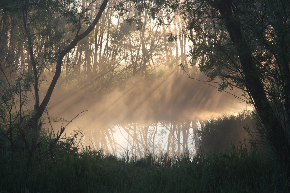 первые лучи солнца - Мария Surveyor первые лучи солнца - Мария Surveyor