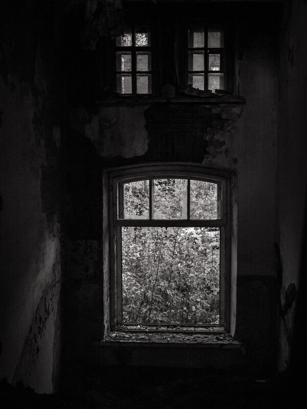 *** - Елена Берсенёва