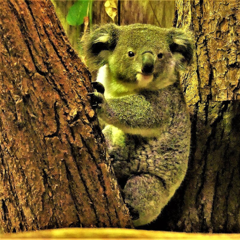 Весёлая крошка - Владимир Манкер Весёлая крошка - Владимир Манкер