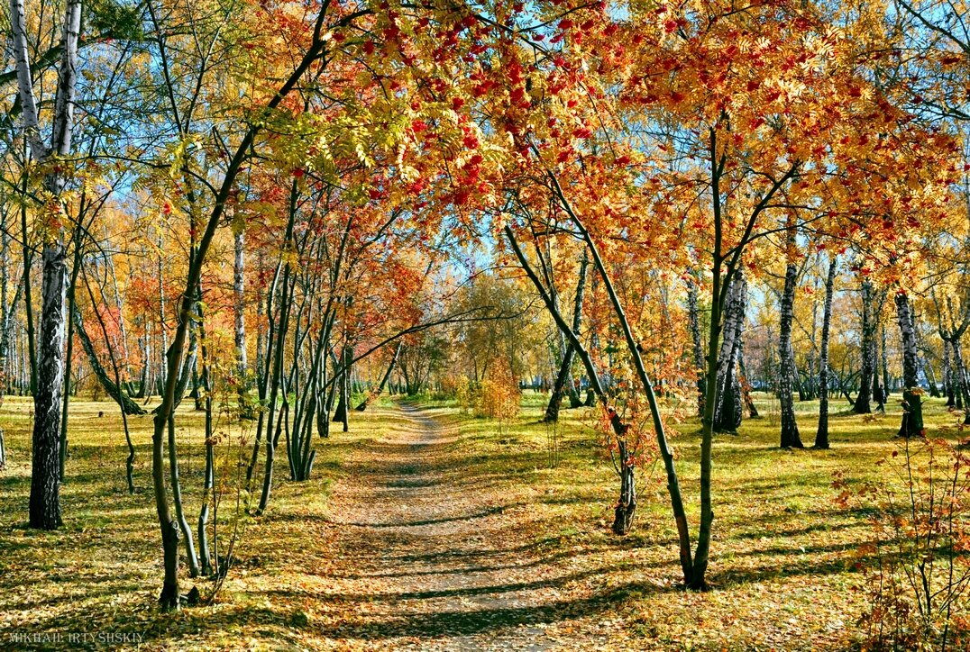 Осень в парке - Mikhail Irtyshskiy Осень в парке - Mikhail Irtyshskiy