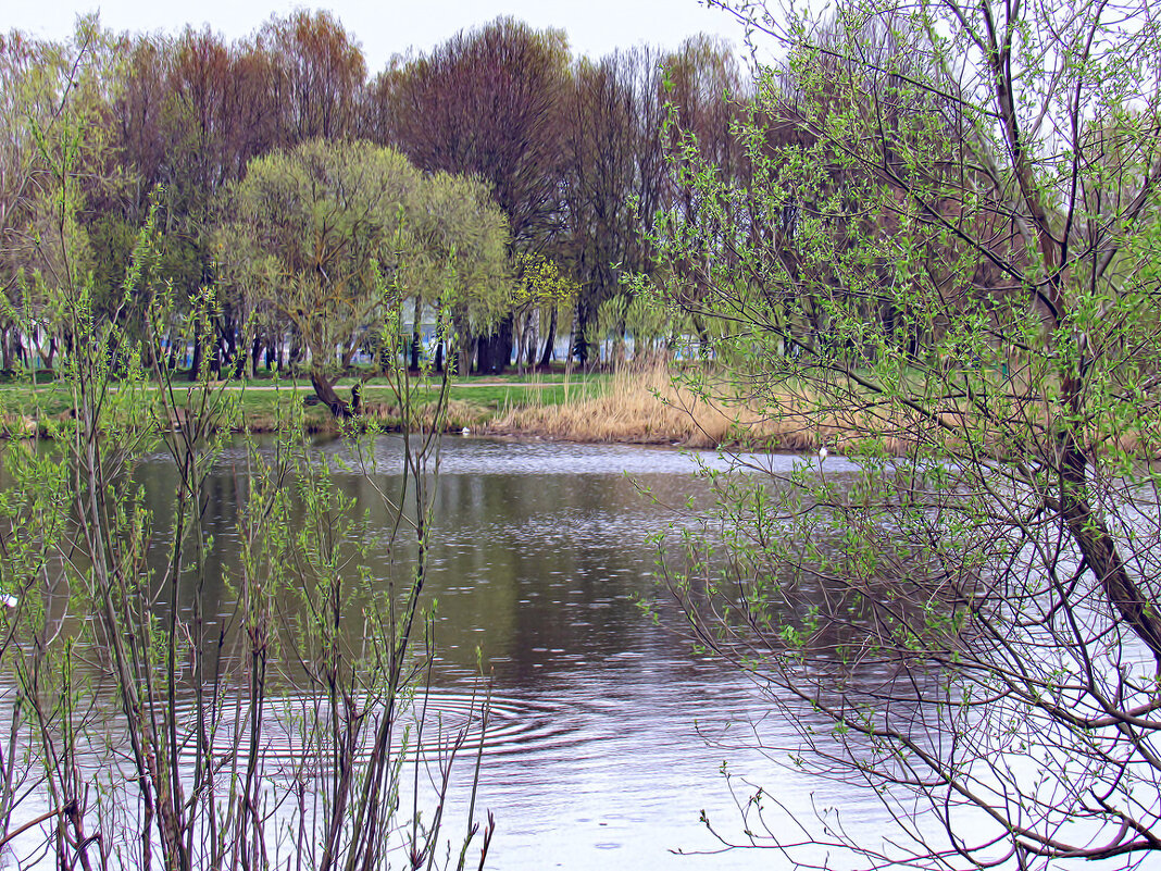 Весна - Игорь Сычёв