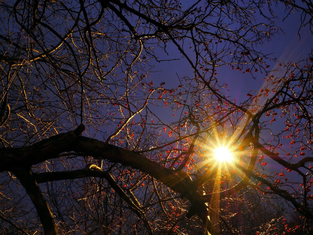 Праздник нерабочего дня - Александр Зиновьев Праздник нерабочего дня - Александр Зиновьев