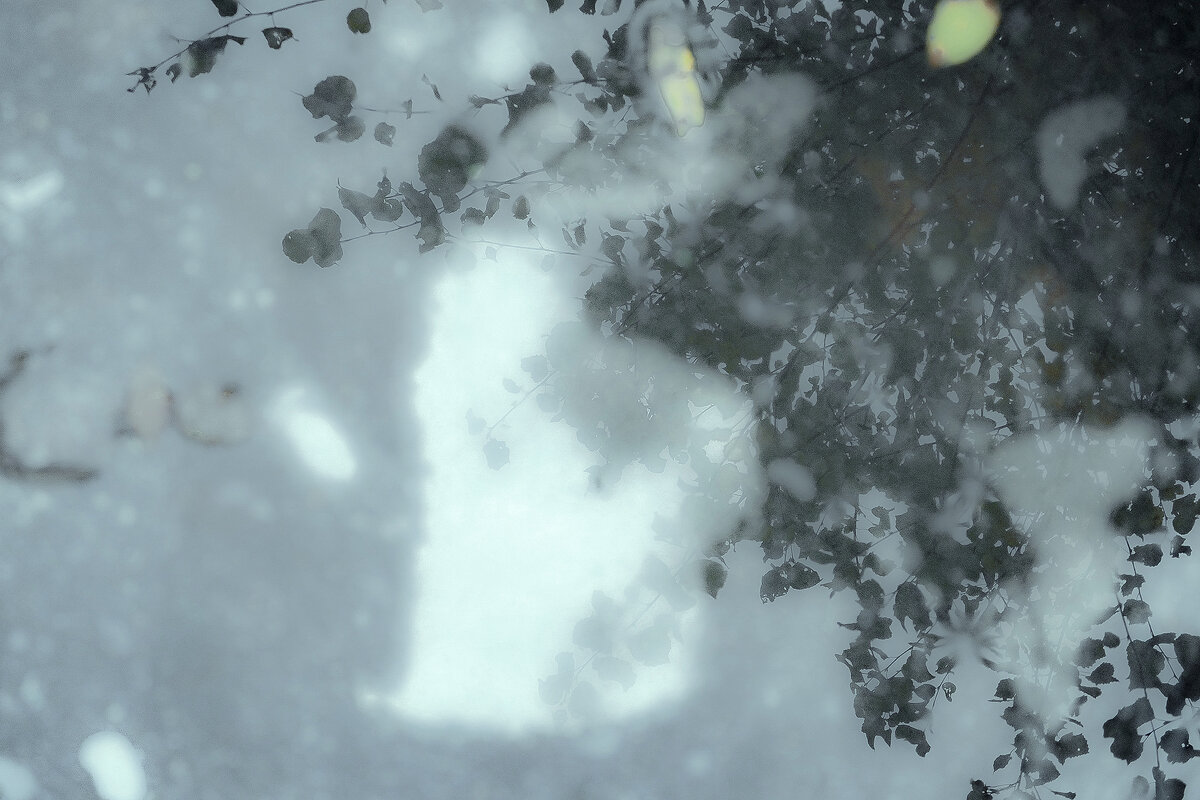 В глубину отражения - Женя Лацис В глубину отражения - Женя Лацис