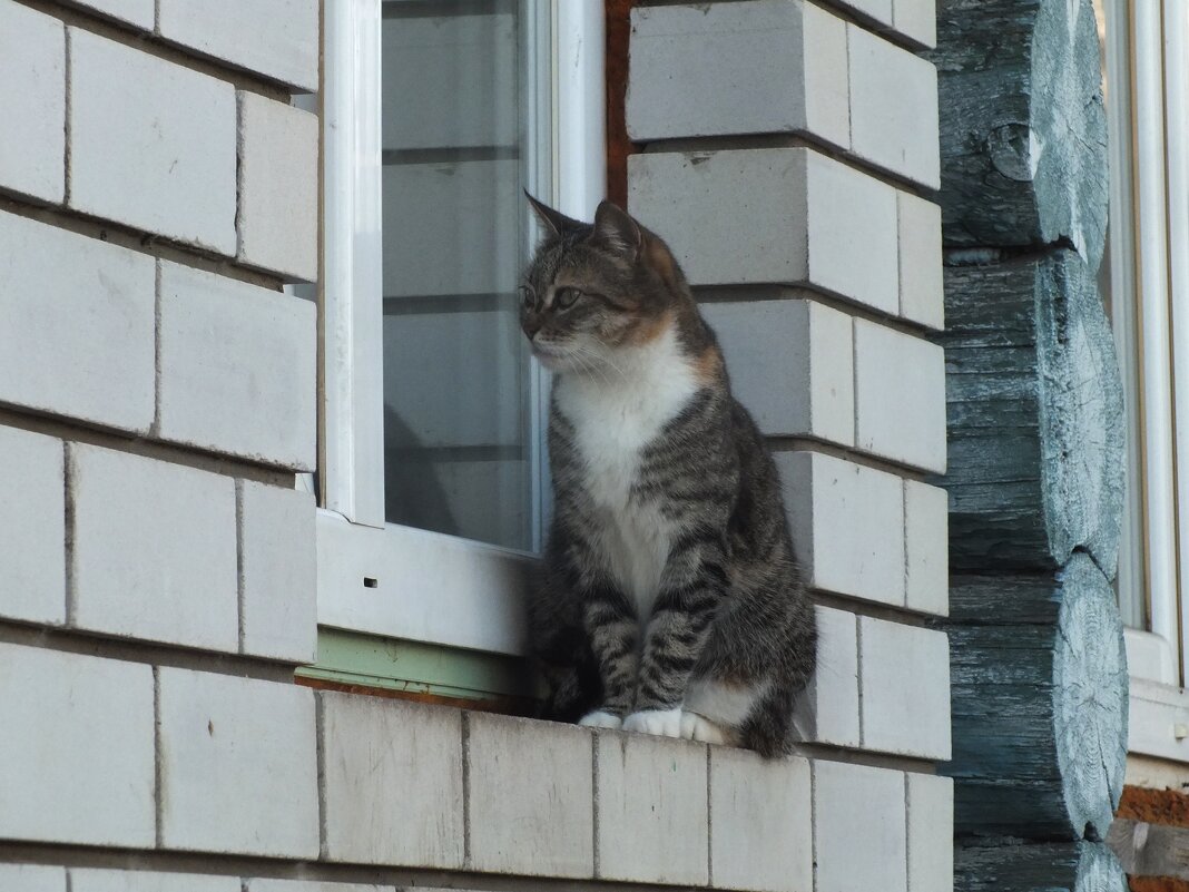 Я все вижу.. - Зоя Мишина