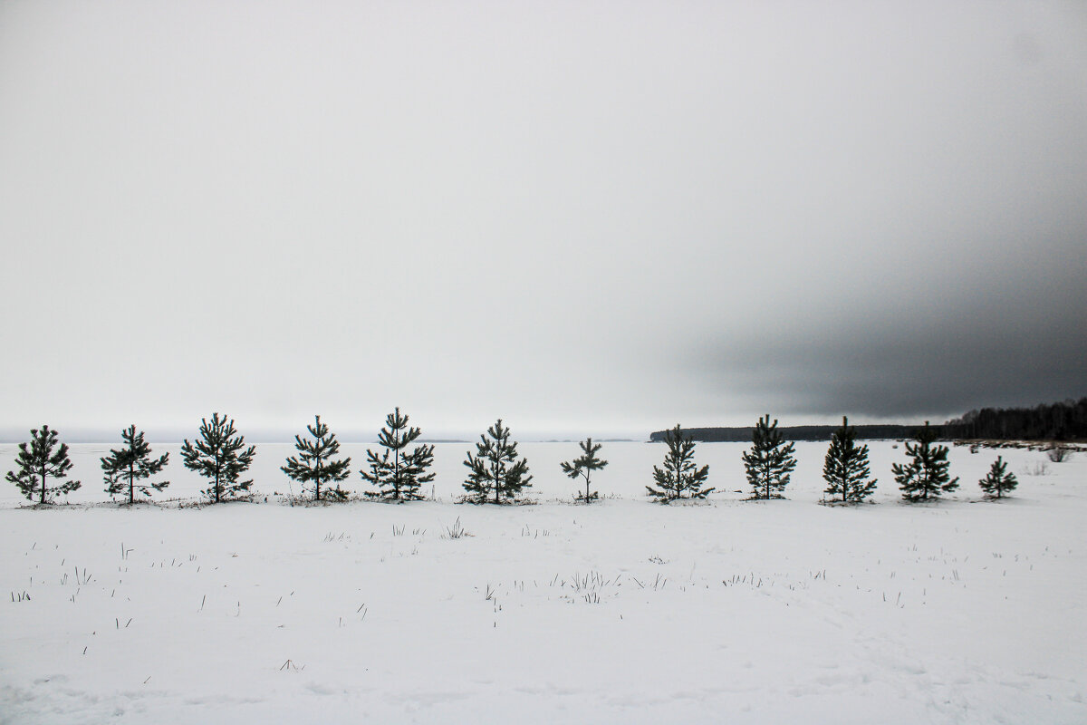 Возрождение. - веселов михаил 