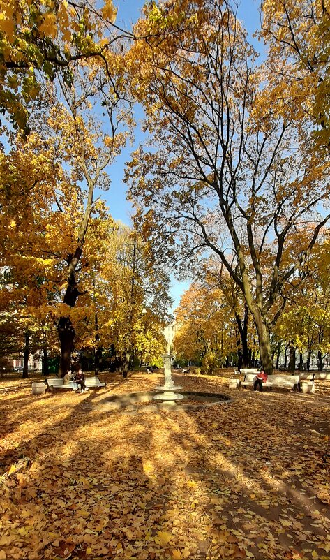 Прогулки по осени. Октябрь - Наталья Герасимова Прогулки по осени. Октябрь - Наталья Герасимова