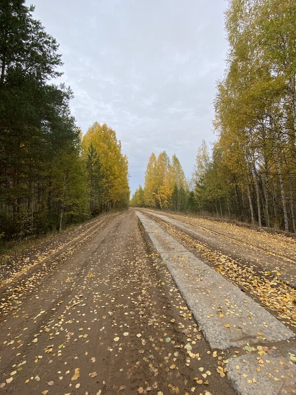 Осень 2021 Буренка - Раиса 