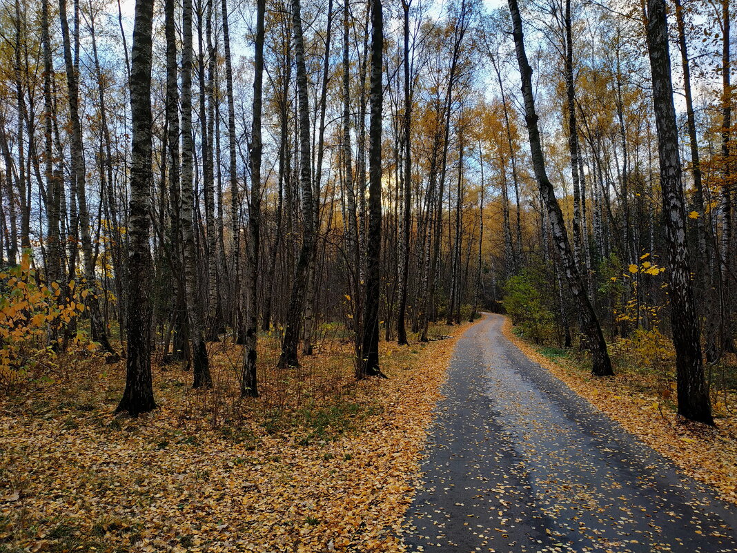 Из недопоказанного в октябре - Андрей Лукьянов