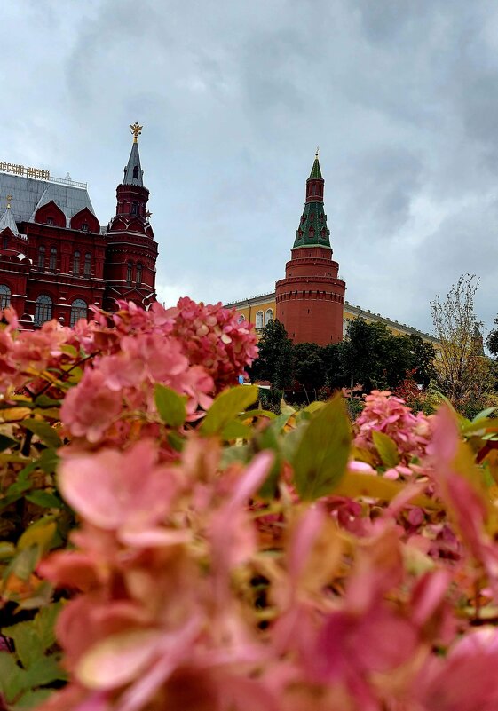 Москва - Вера Цаплина