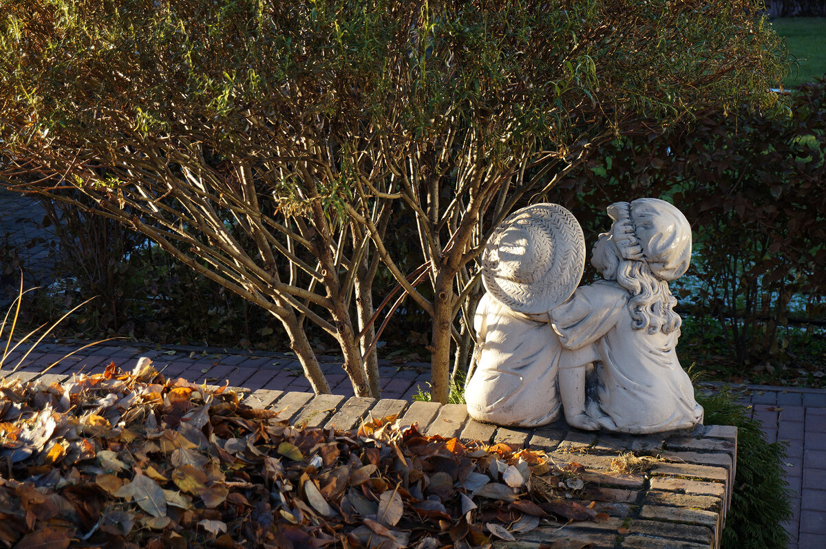 Неразлучники в парке Сады Мечты - Екатерина Торганская Неразлучники в парке Сады Мечты - Екатерина Торганская