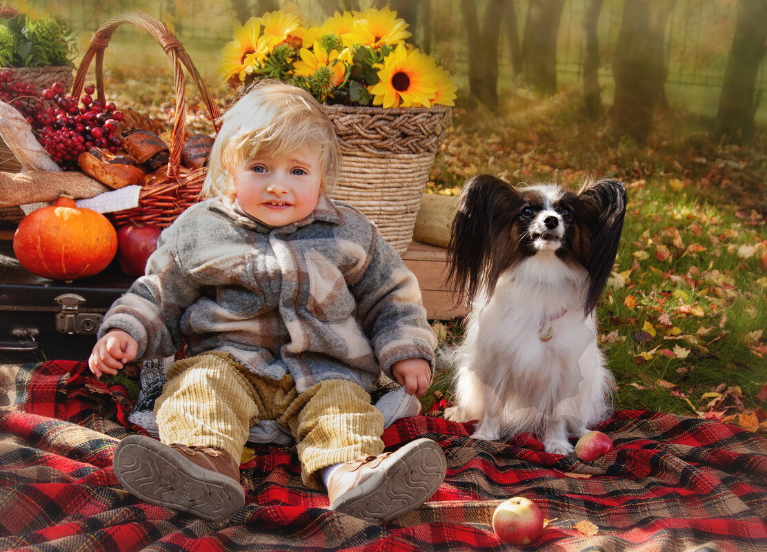 Два куклёнка - Филипп Махов Два куклёнка - Филипп Махов