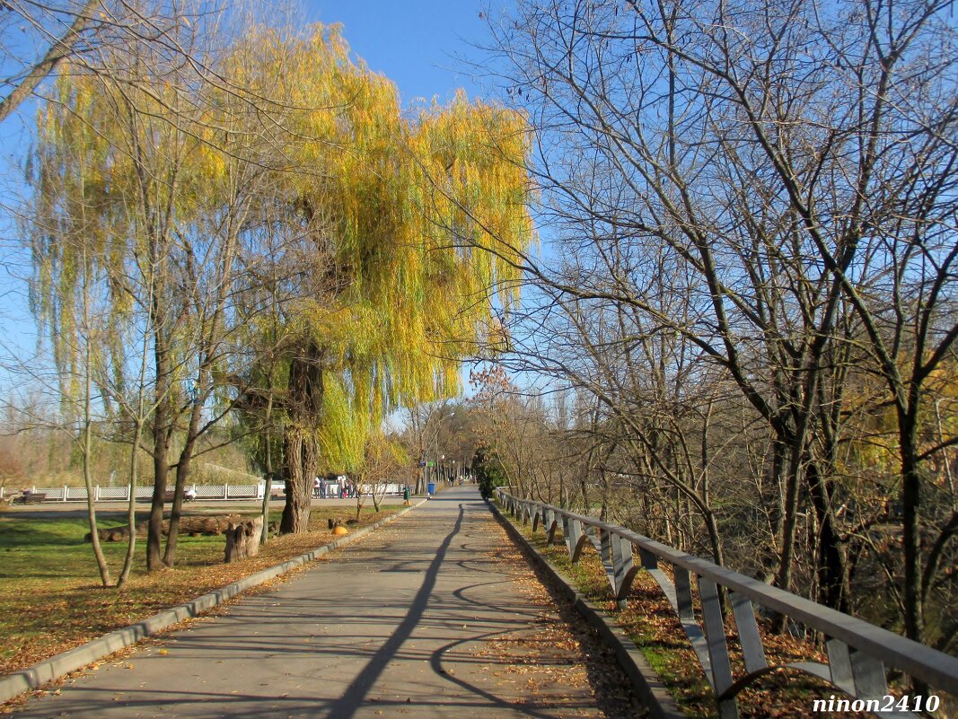 В ростовском зоопарке - Нина Бутко
