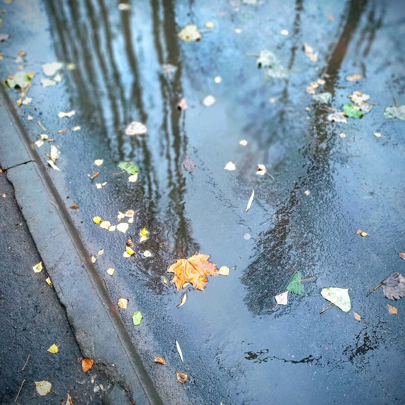 После дождя - София 