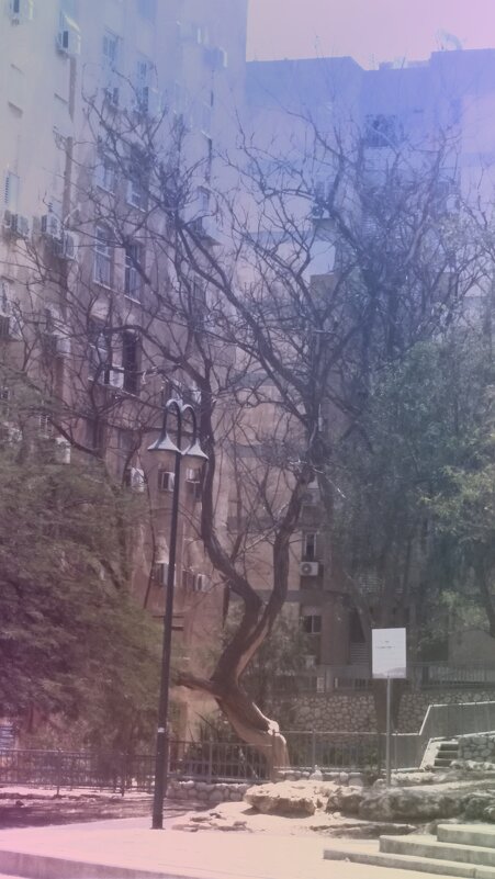 ВЕРТИ КАЛЬ (7) - OPEN WAYS ALL