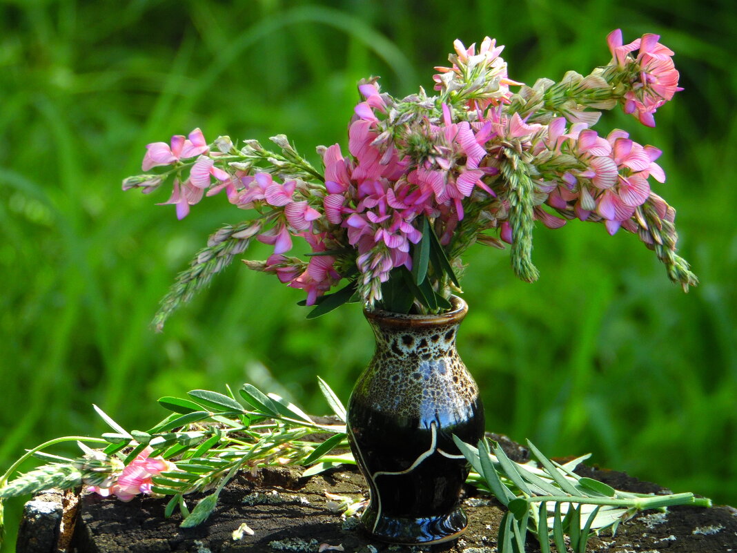 Букетик эспарцета. - nadyasilyuk Вознюк Букетик эспарцета. - nadyasilyuk Вознюк