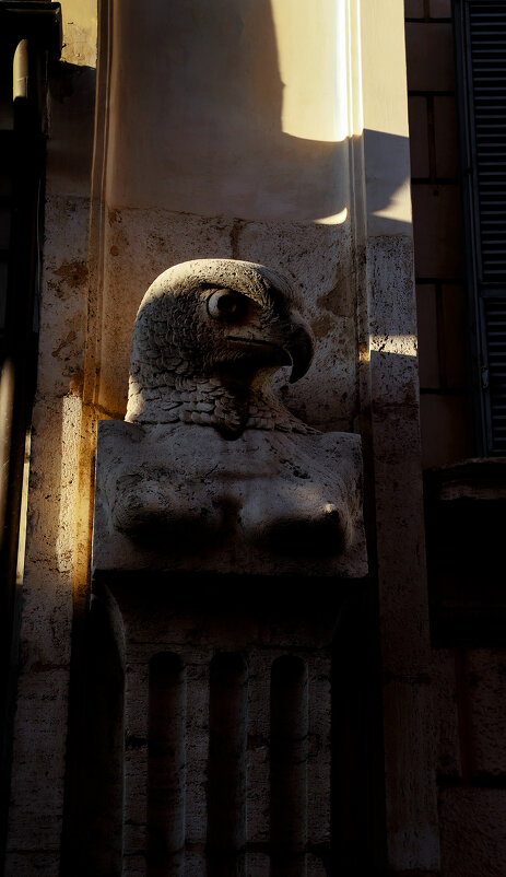 Тени - Дмитрий Близнюченко