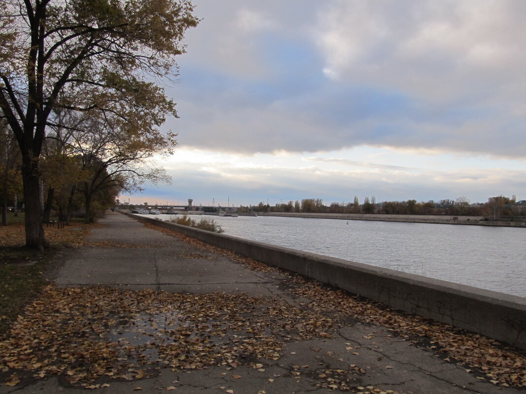 осень в городе - Елена Шаламова