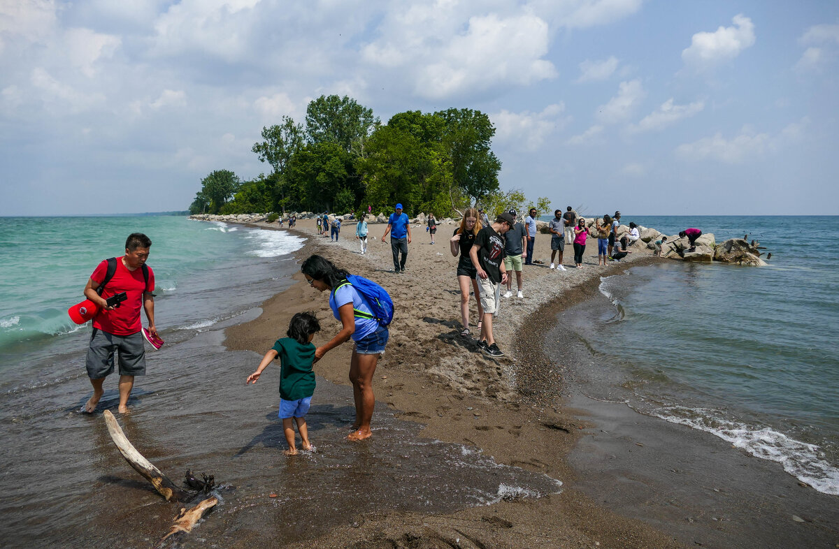 На самом юге полуострова Пойнт Пели (Point Pelee, Канада) - Юрий Поляков