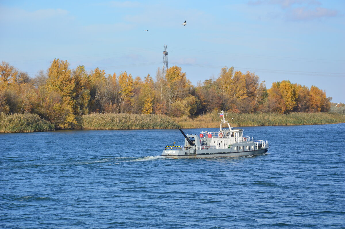 Дон. - Виктор Дон. - Виктор