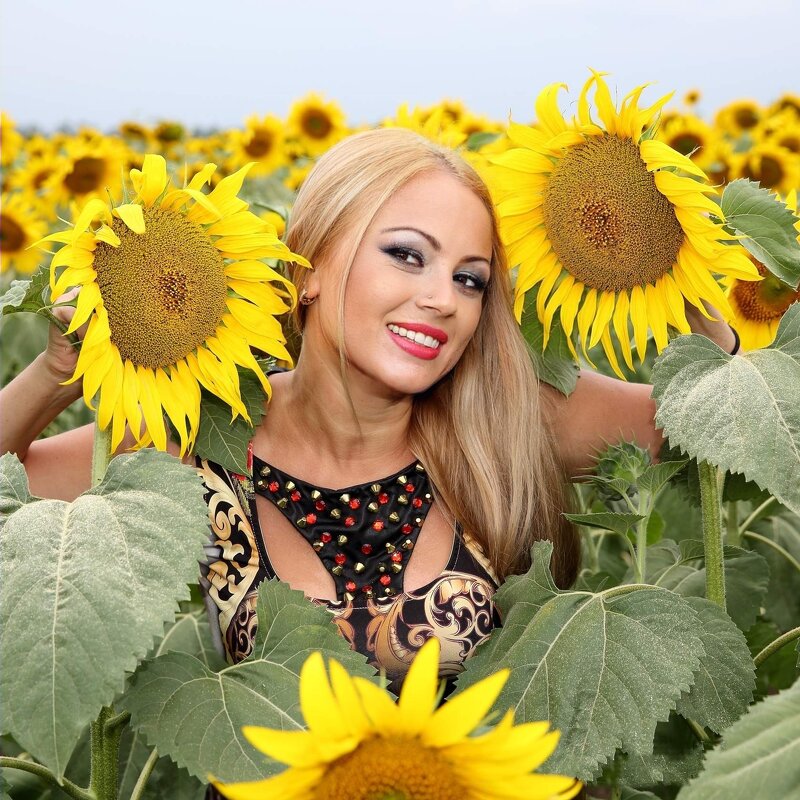 Подсолнух - Светлана Светлая