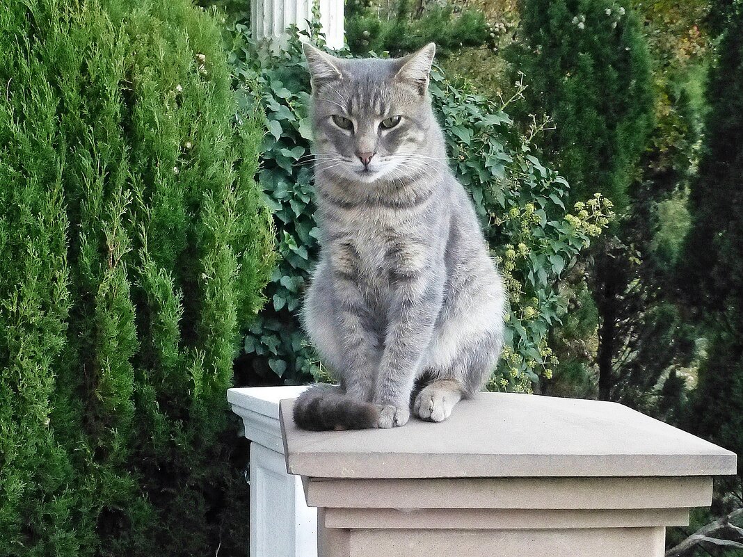 На пьедестале - Лидия Бусурина На пьедестале - Лидия Бусурина
