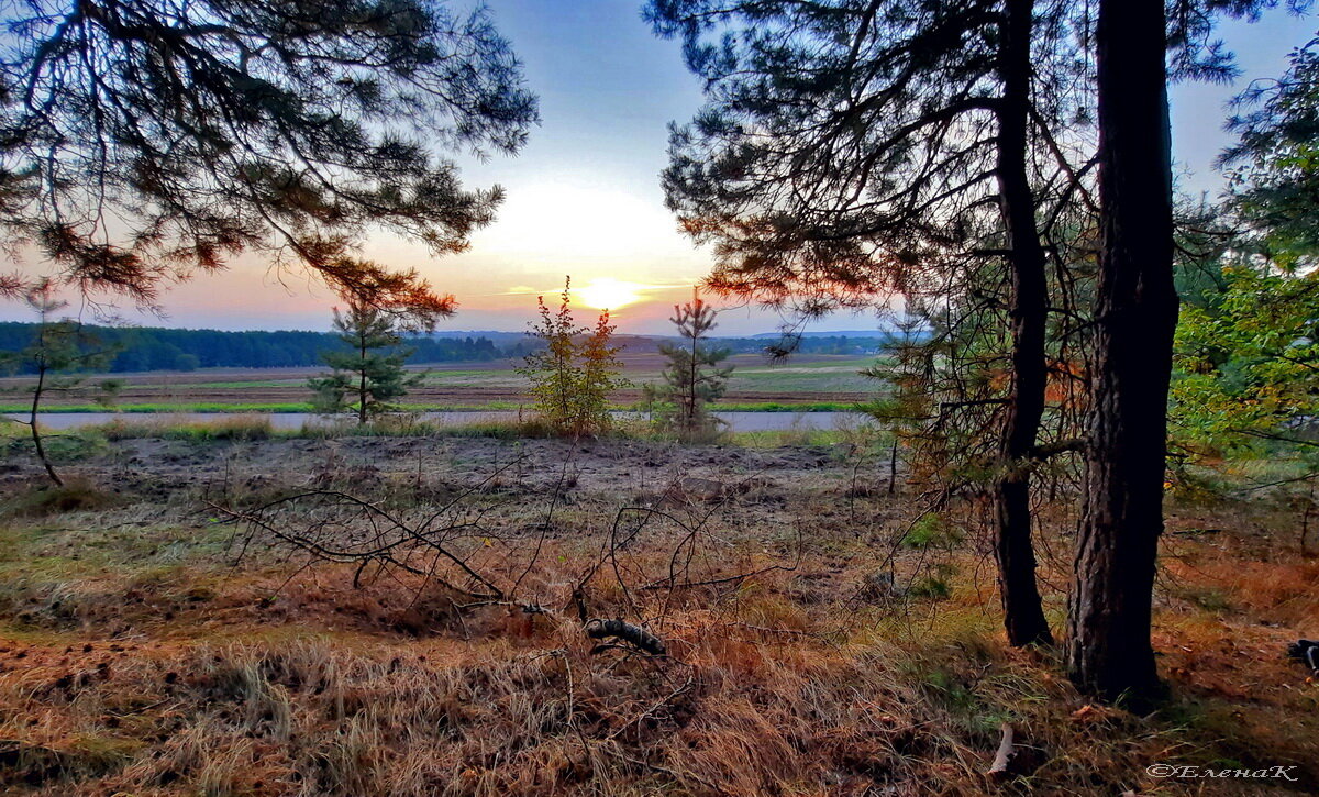Закат. Шахово. - Елена Кирьянова Закат. Шахово. - Елена Кирьянова