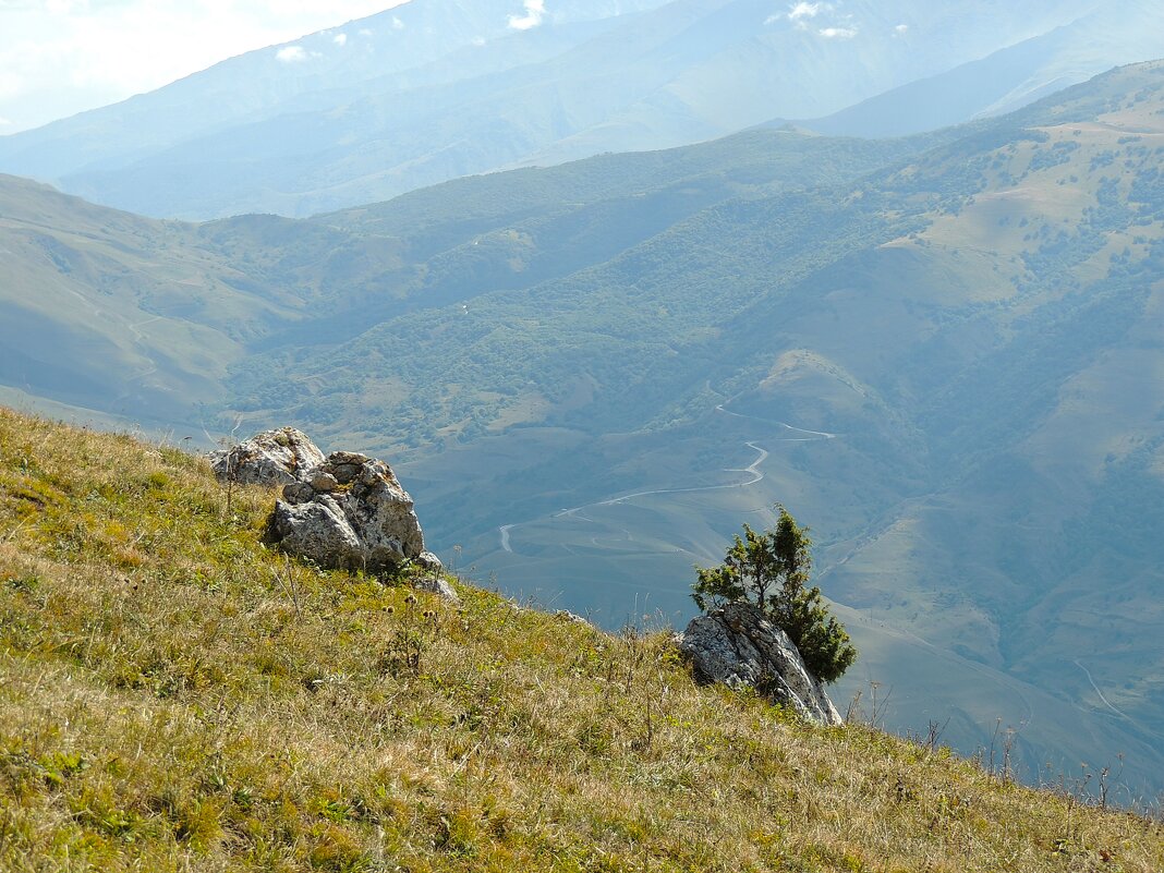 *** - Роман Трофимов *** - Роман Трофимов