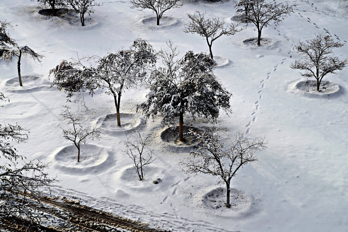 Ноябрь 2014 - Анатолий Чикчирный Ноябрь 2014 - Анатолий Чикчирный