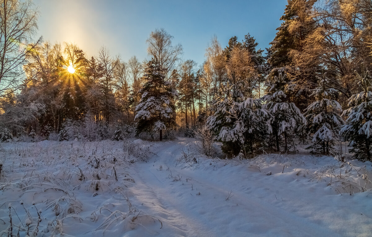 Начало Подмосковной зимы # 02 - Андрей Дворников Начало Подмосковной зимы # 02 - Андрей Дворников