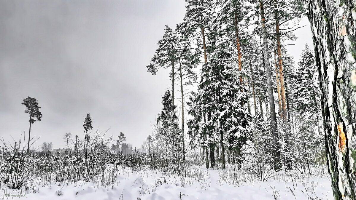 В ЧЕРТЕ ГОРОДА... - mveselnickij 