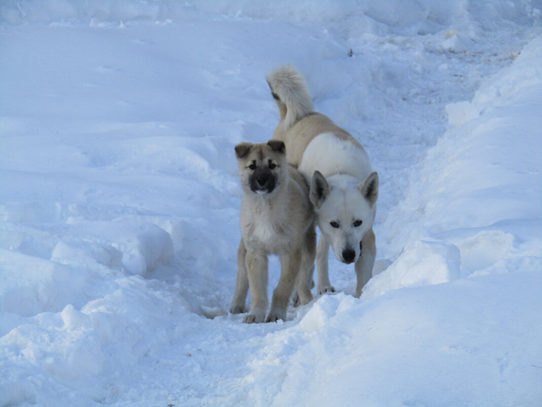 С мамой не страшно - Galaelina *** С мамой не страшно - Galaelina ***