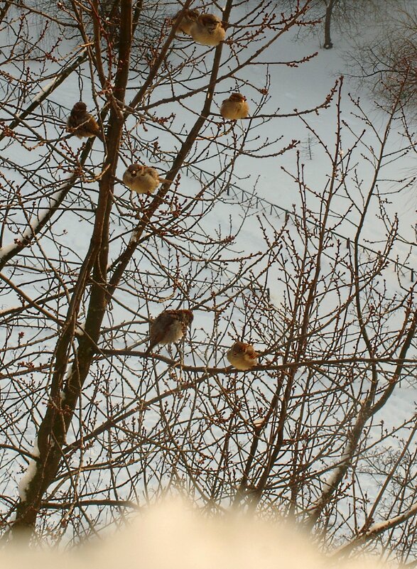 В ожидании... - Юрий Куликов