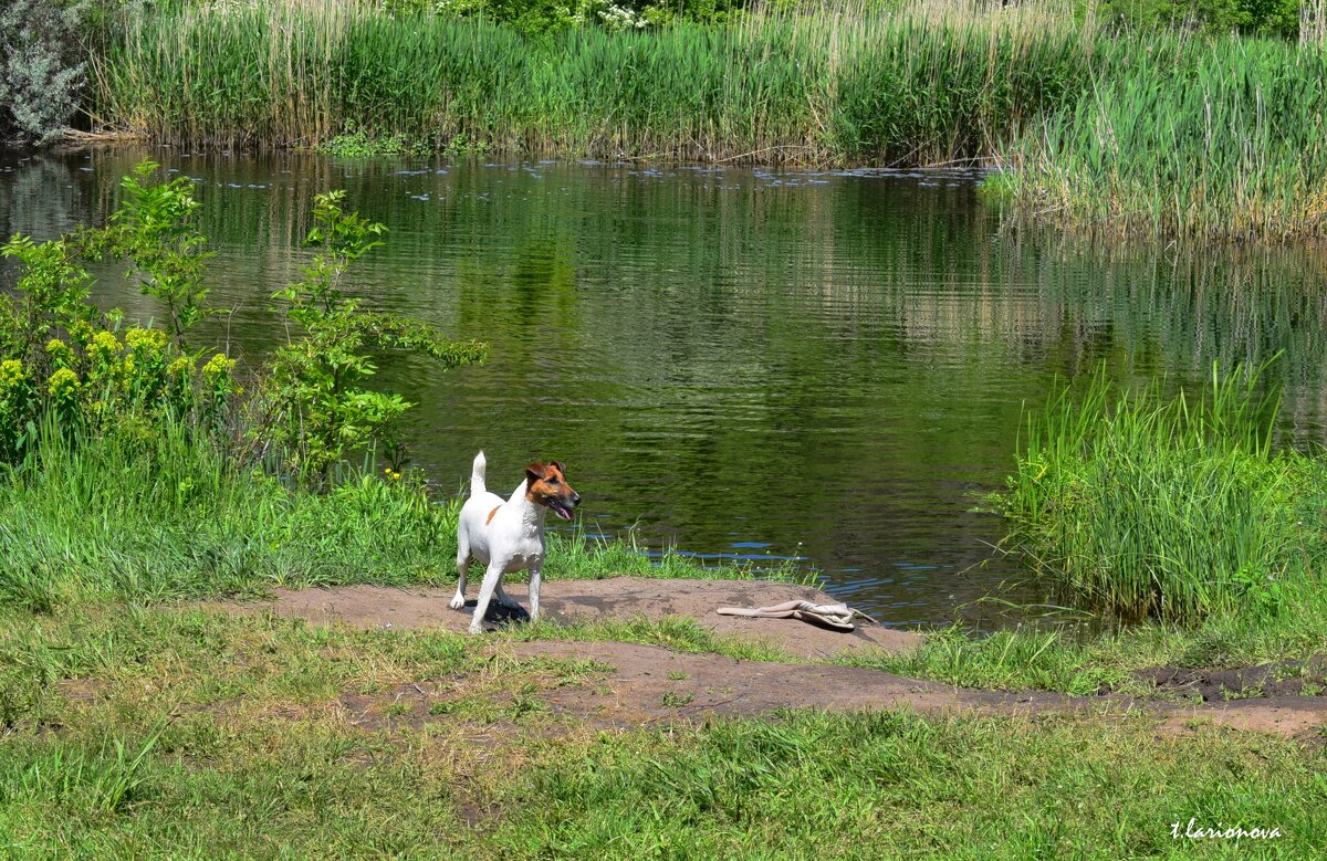 Встреча у реки - Татьяна Ларионова