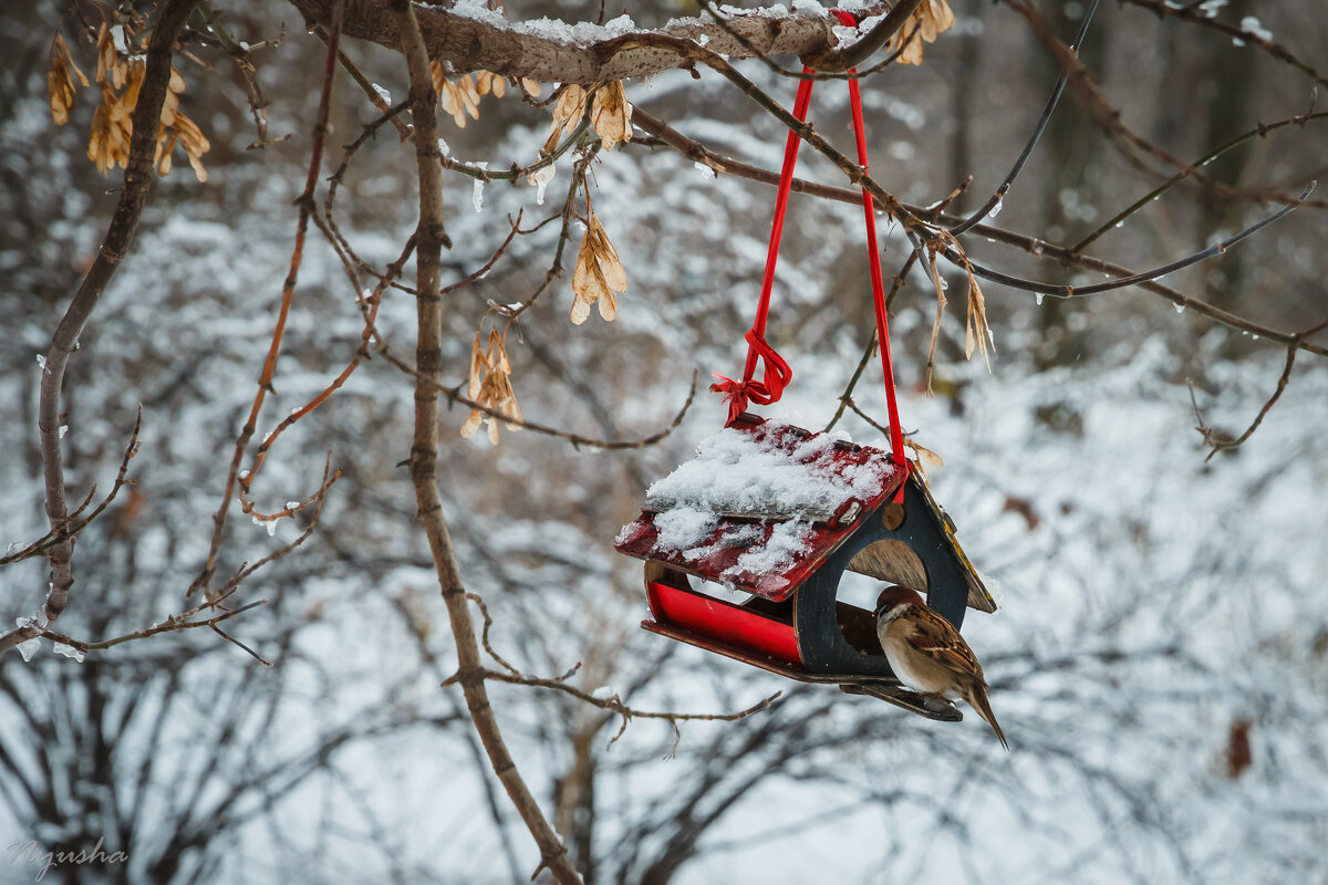 ... - Nyusha . ... - Nyusha .